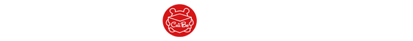 Google AMP logo