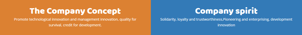 company introduction