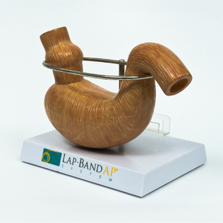 Plastic Figure Manufacturer Custom Design 3D Organ PVC Figure